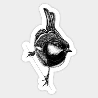 Coal tit bird Sticker